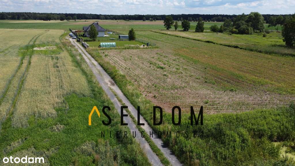 działka budowlana w Grodźcu, w gminie Niemodlin-9