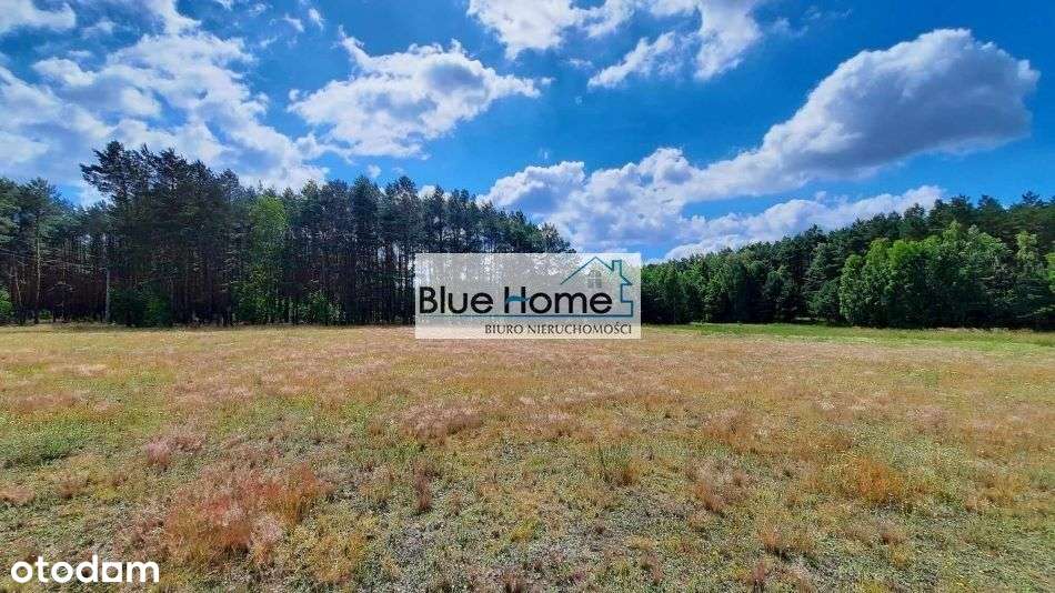 Piękna Działka przy lesie Osiek nad Wisłą Wz - Pełny obrazek: 4/4