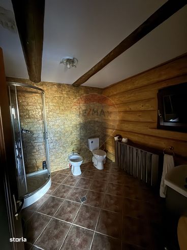 Cabană de vis în inima munților, chiar lângă pârtia de schi din Borșa-13