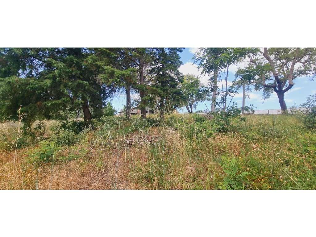 Terreno Venda Leiria - Grande imagem: 5/13