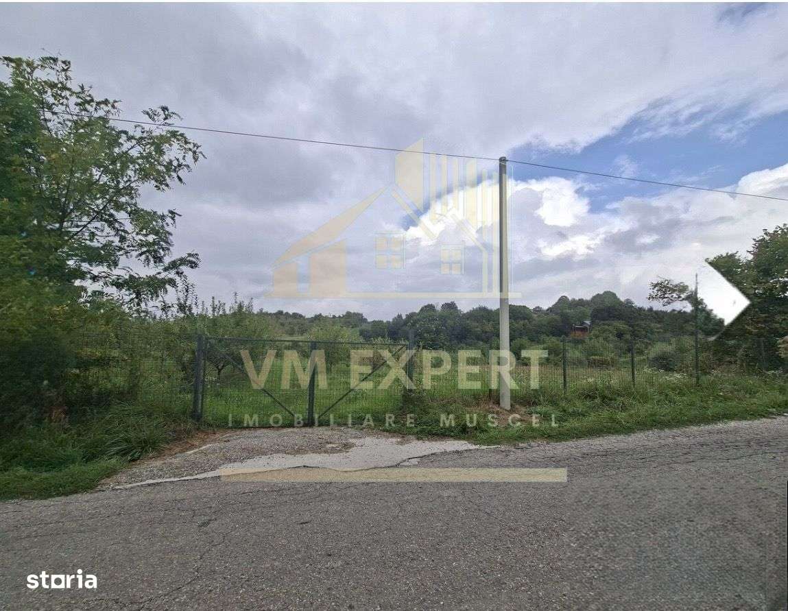 TEREN 20.621 MP CAMPULUNG - Imagine principală: 2/7
