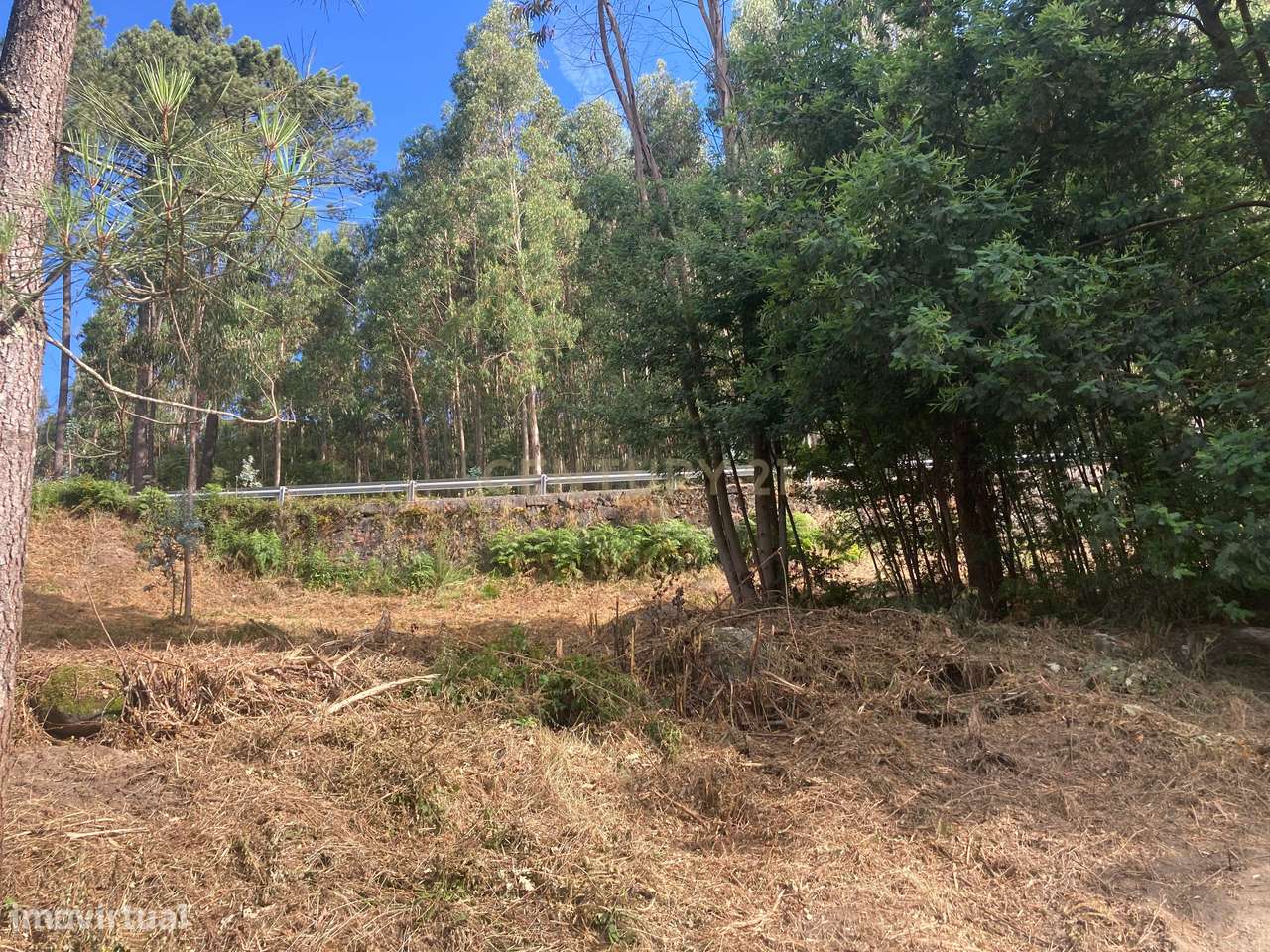 Terreno Rústico à Venda em Oldrões, Penafiel - Grande imagem: 4/24