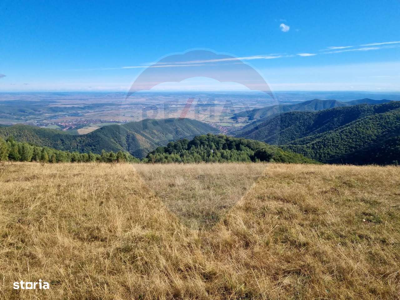 Teren  extravilan - Imagine principală: 3/13