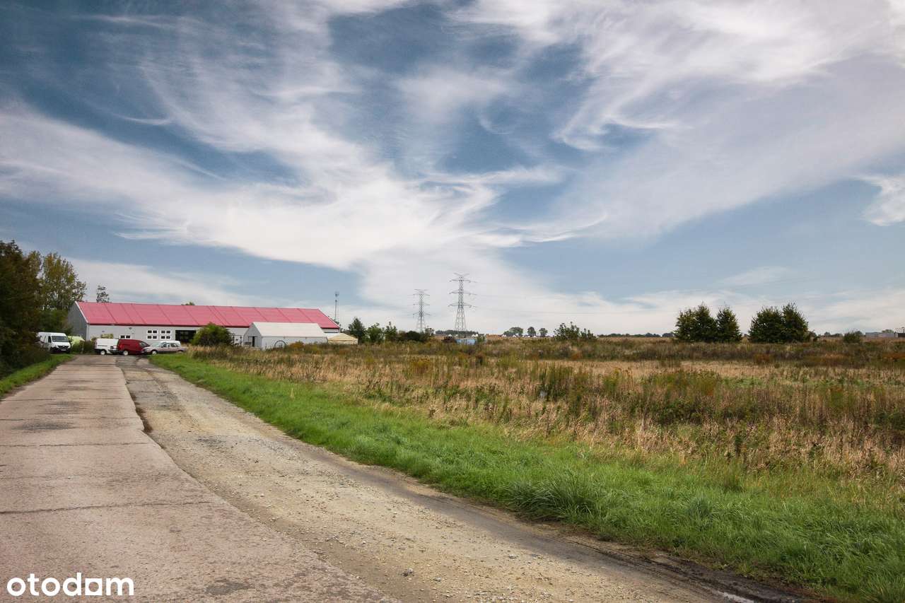 2x 4200 m2 Przemysłowo-usługowa, pełne media, ŻÓRAWINA-6