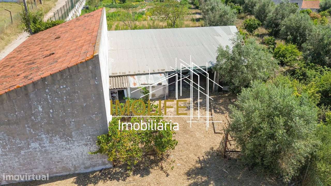 Armazém para venda em Cabeção-20