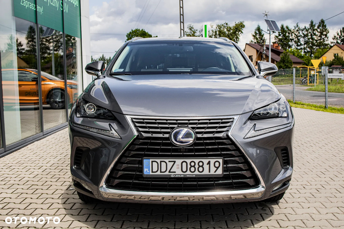 Lexus NX - 6