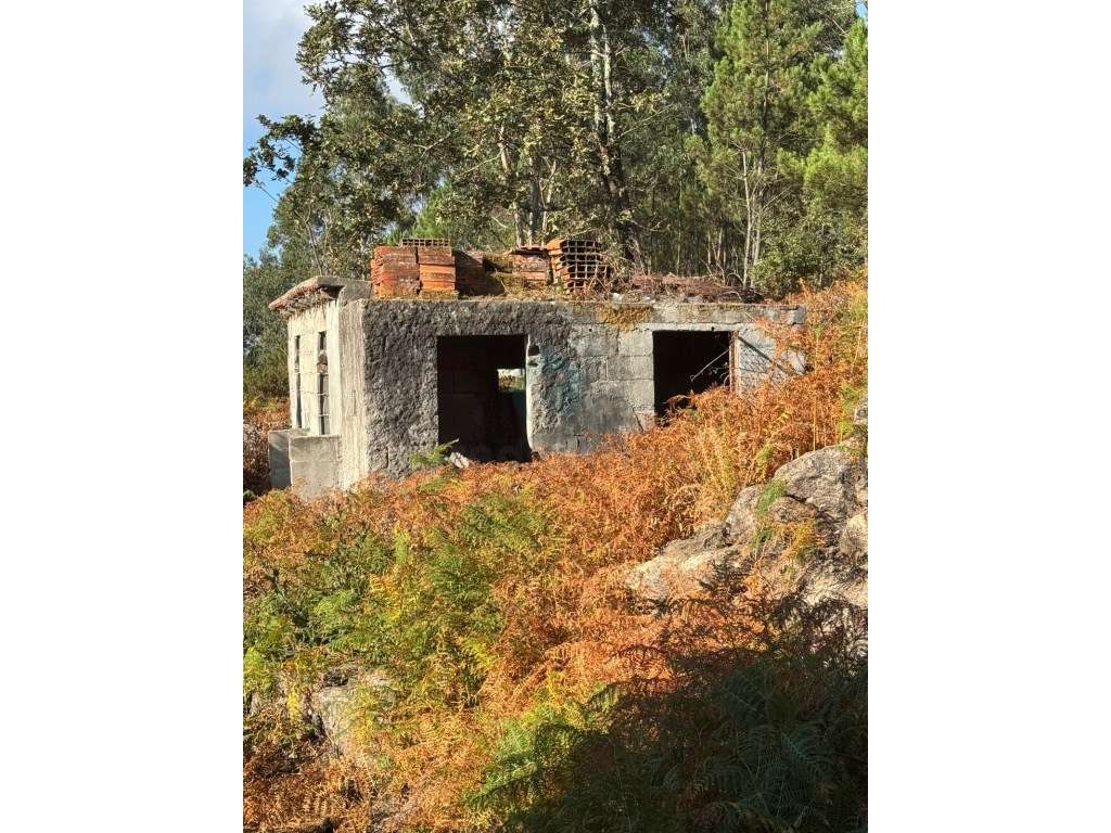 Quinta com Potencial em Marco de Canaveses-19