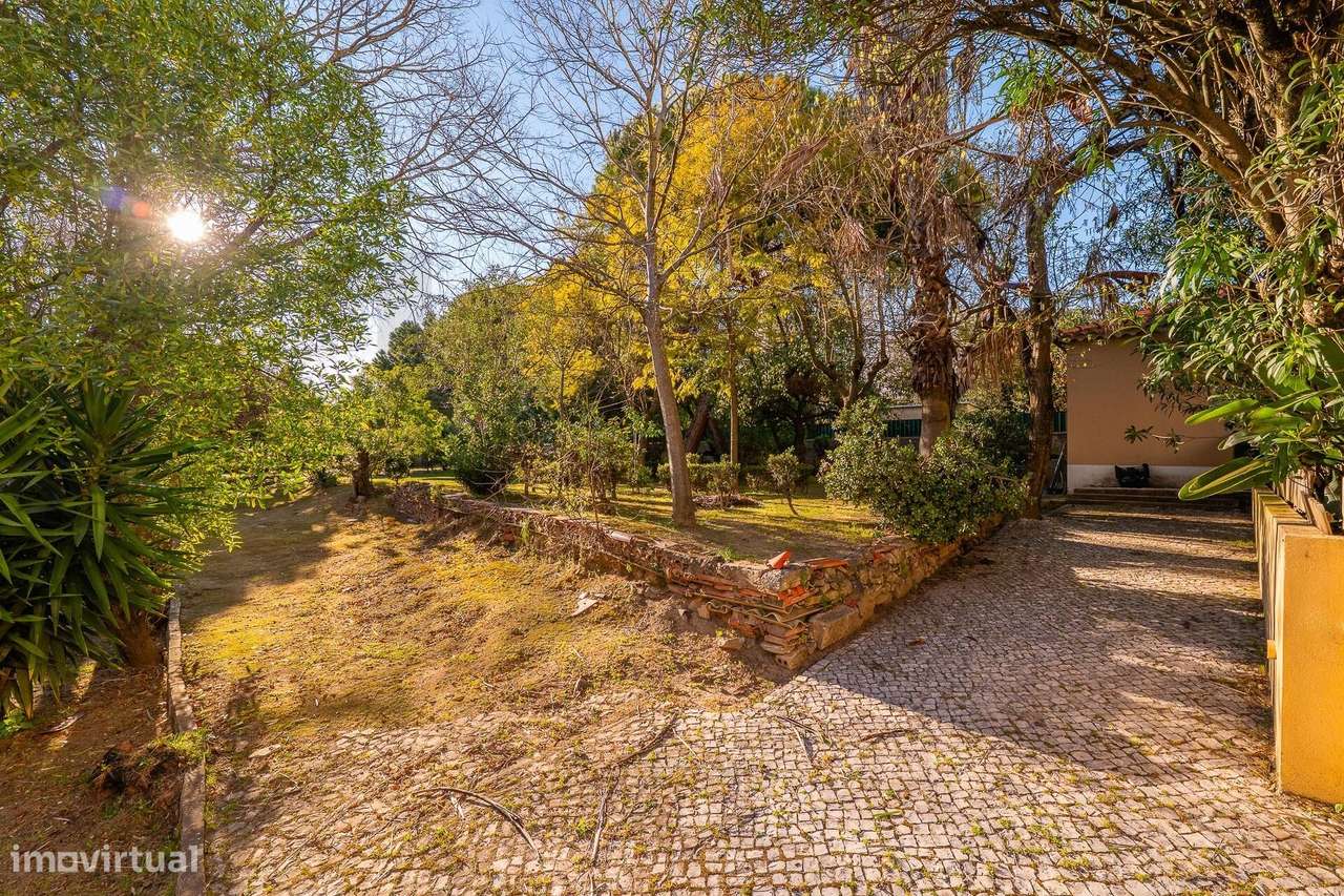 Moradia familiar com jardim na Penha de França, Lisboa - Grande imagem: 5/26