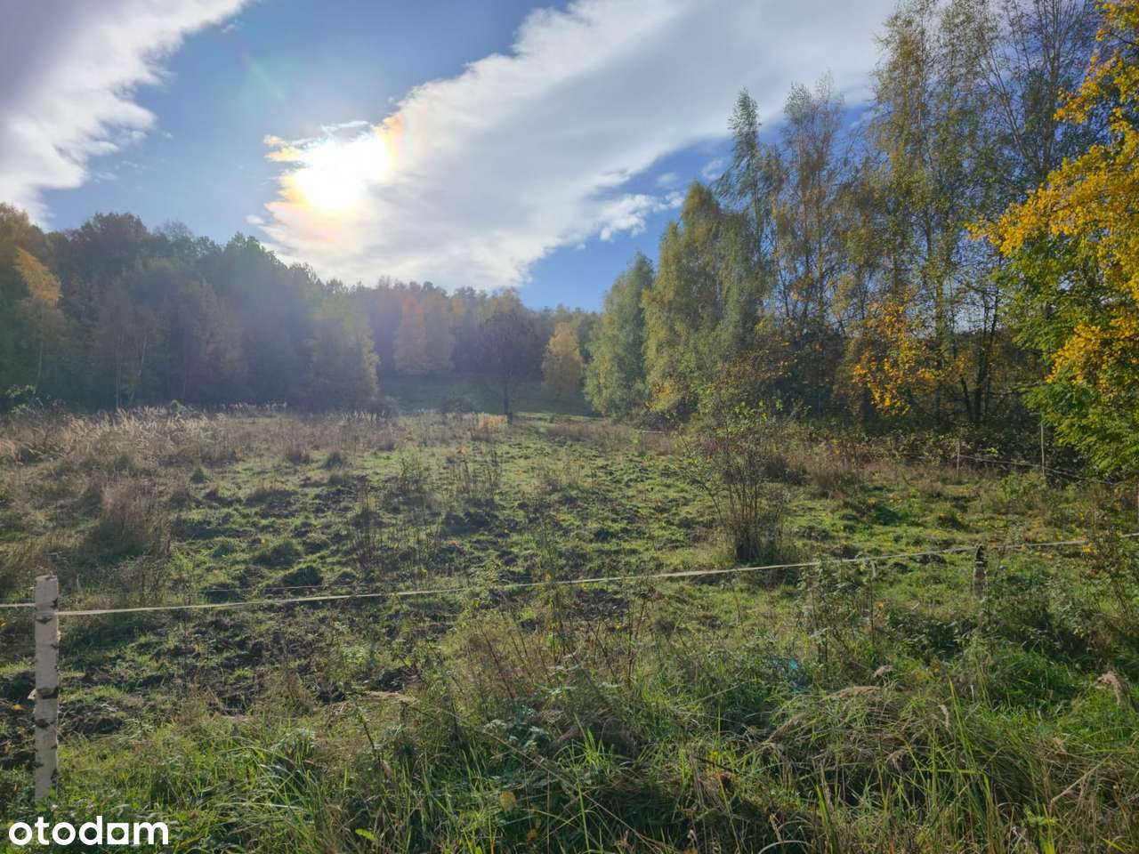 4 Działki przy lesie z widokiem na Góry Sowie-13
