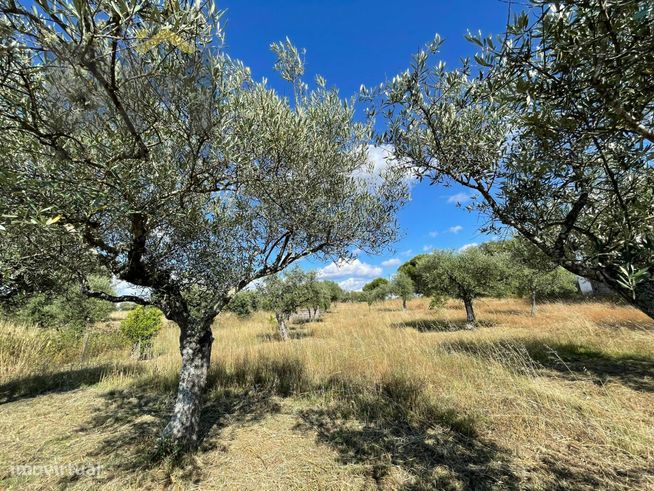 Moradia T2 Venda em Toulões,Idanha-a-Nova-22