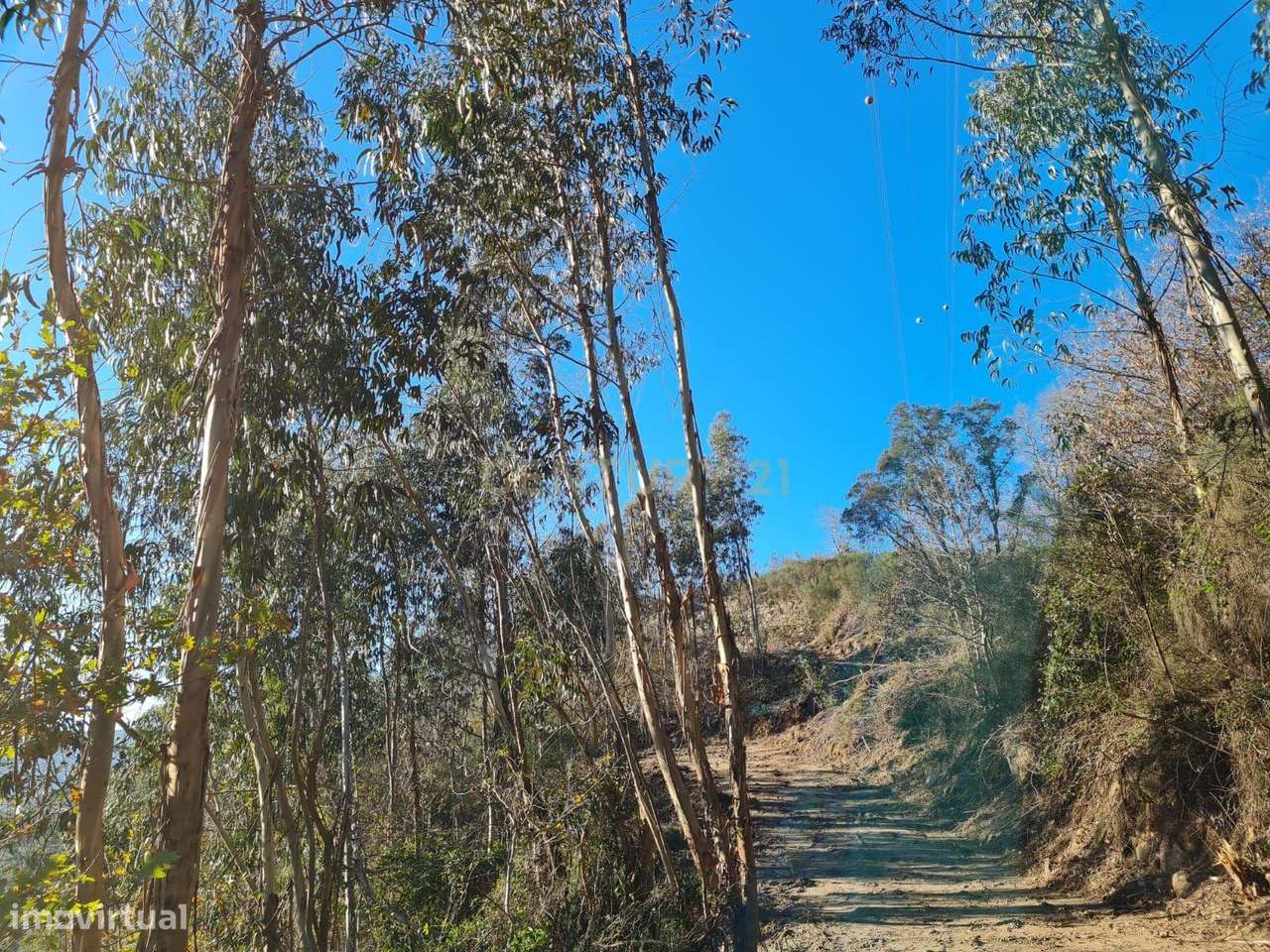 Quinta das Fontainhas, Rio de Moinhos, Penafiel-36