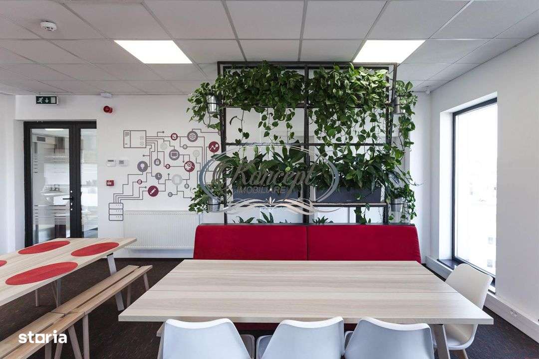 Spatiu de birou premium in cartierul Marasti - Imagine principală: 5/19