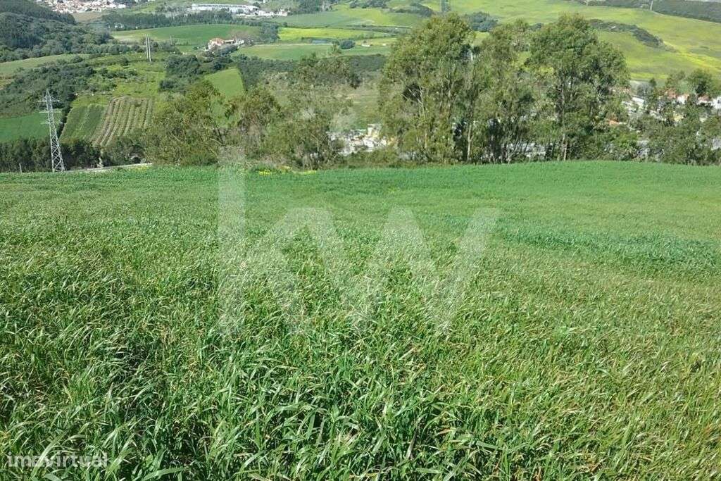 Terreno com 3560m2 na zona de Torres Vedras - Grande imagem: 4/15