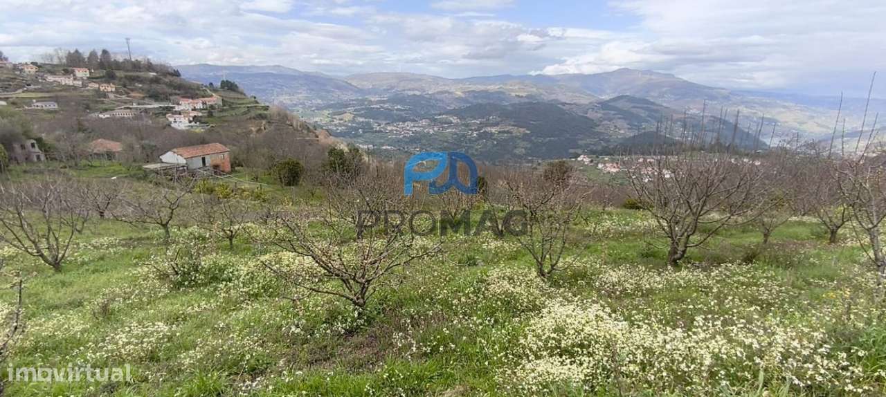 Terreno Urbanizável de 7959 m² com Armazém-42