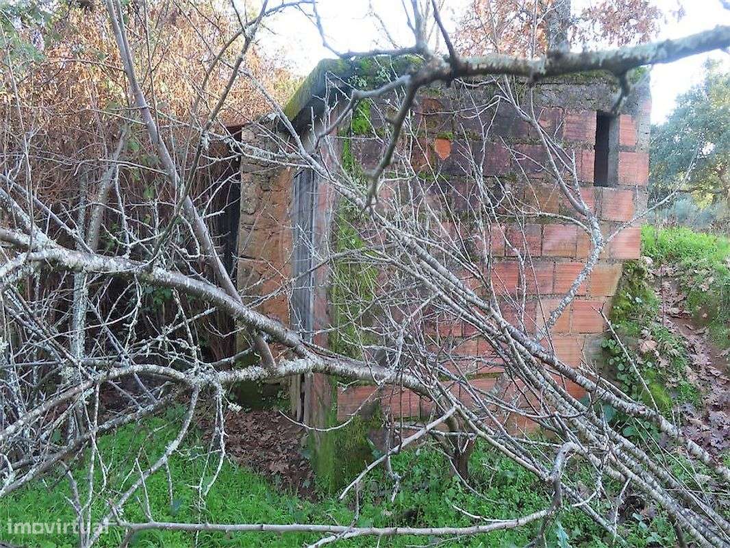 Quinta  para venda - Grande imagem: 4/17