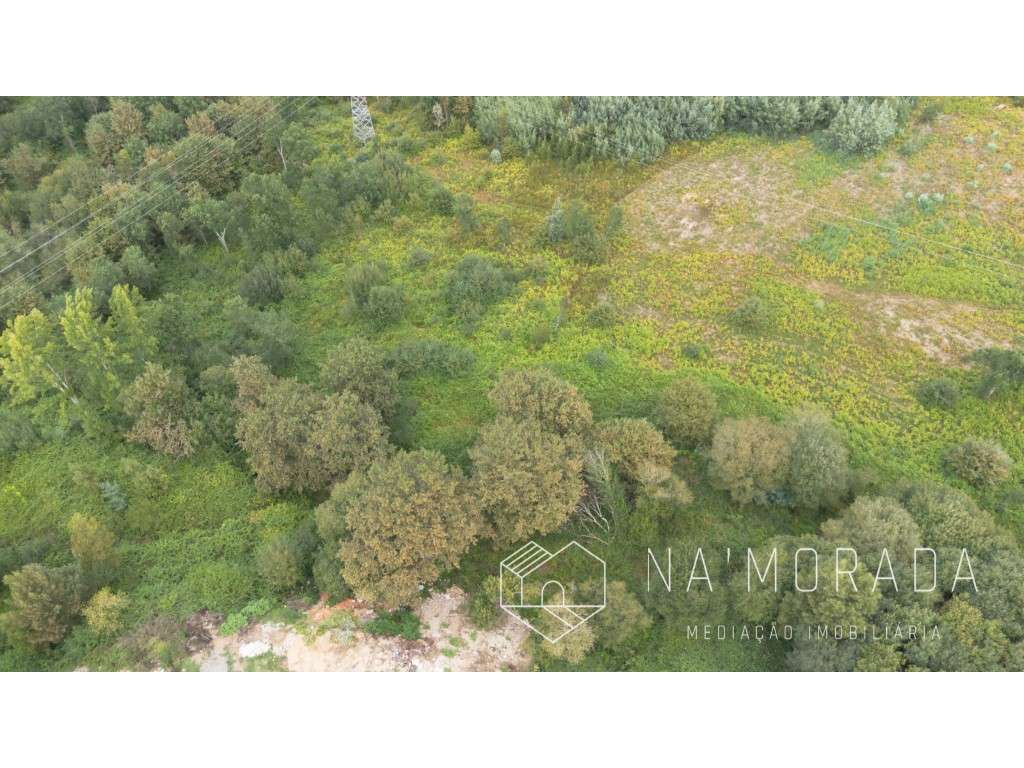 Terreno rústico com cerca de 24.700m2 na Urb. Minas do Pintor, Nogu... - Grande imagem: 5/30