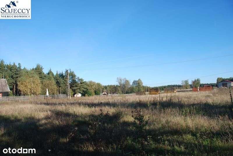 Działka siedliskowa - Krzyż - 12 001 m2-4