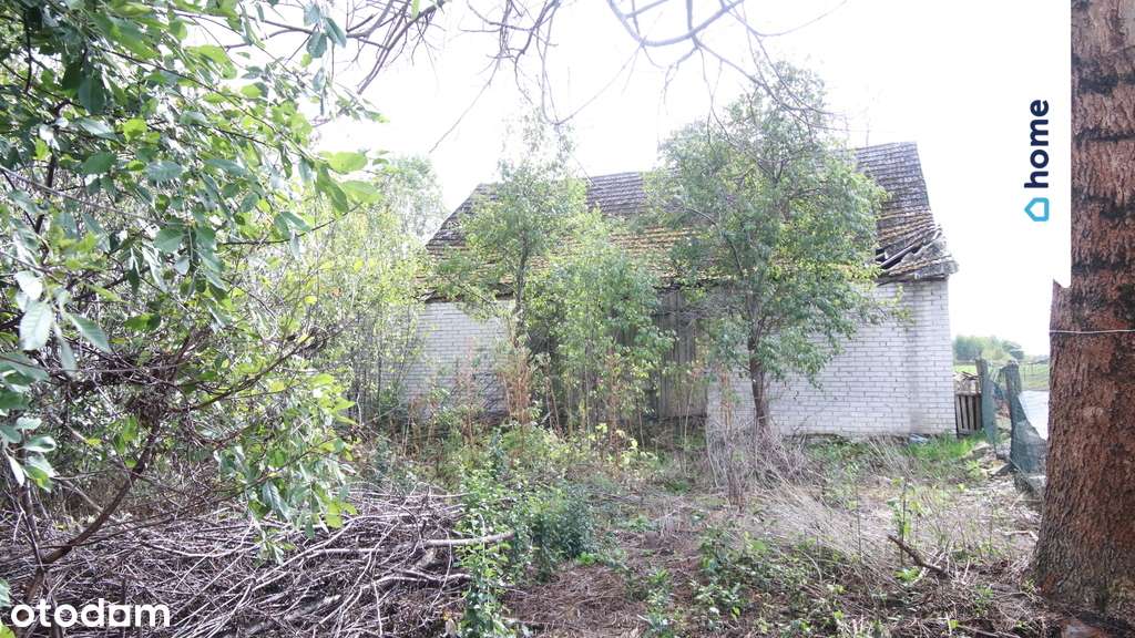 Działka  budowlana z lasem i polem w Lipnicy - Pełny obrazek: 5/6