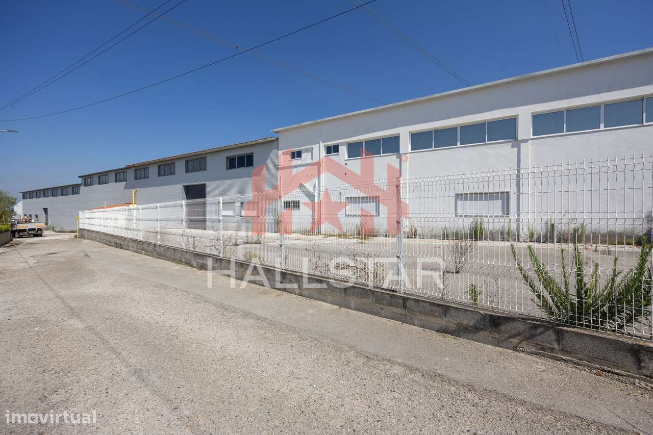 Nave Industrial / Área de 3.700 m2 / Aljubarrota - Grande imagem: 5/49