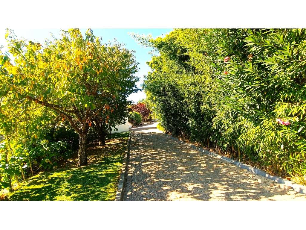M ORADIA T3 COM PISCINA COBERTA , QUINTAL E 2 GARAGENS, BELMONTE, B...-6