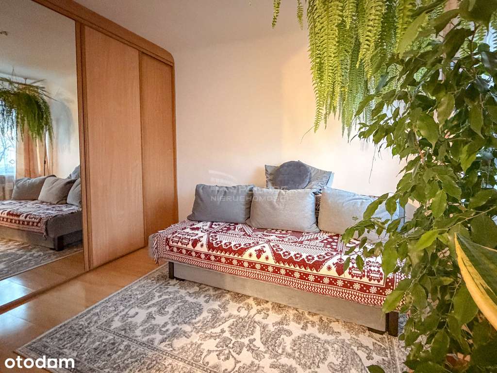 M3 przy al. AWP w Chełmie 49,3m2 po remoncie!-6