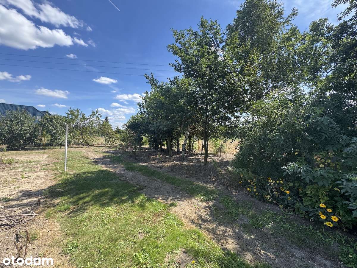 Kępno, ul. Sportowa - działka budowlana z prądem-12