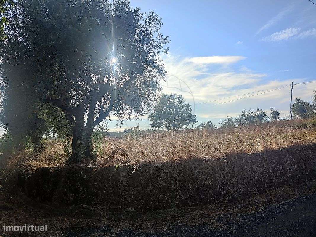 Terreno  para venda-5