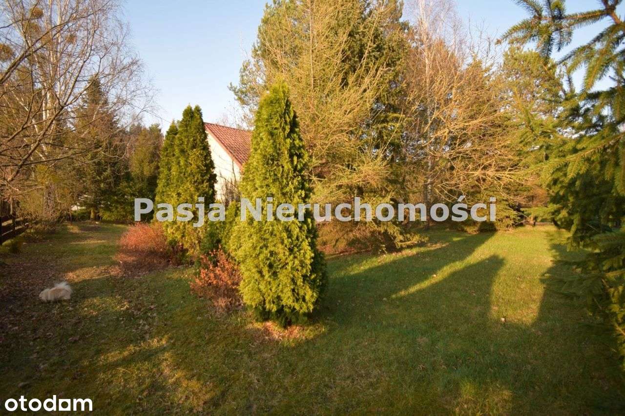 Siedlisko przy lesie-14