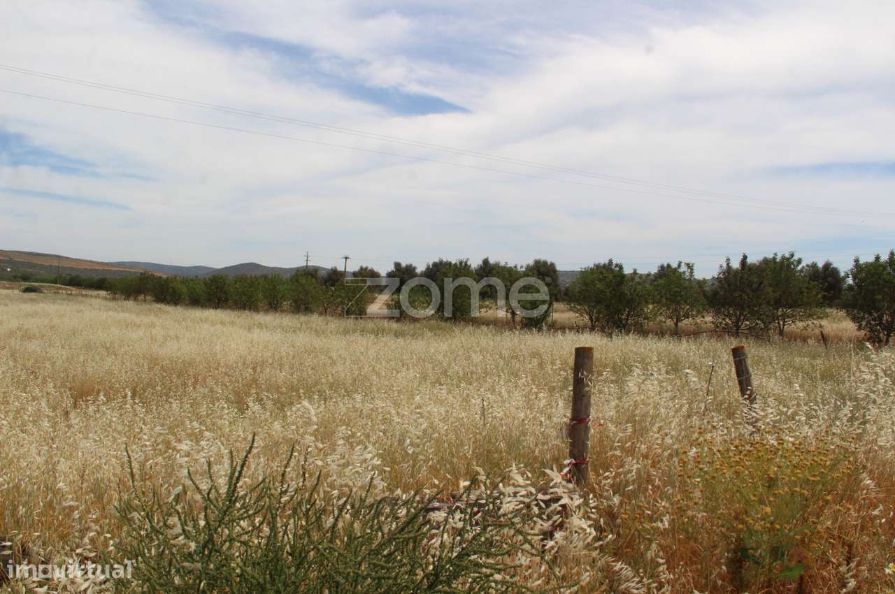 Terreno rústico com uma área generosa de 3 Hectares totalmente plan... - Grande imagem: 5/15