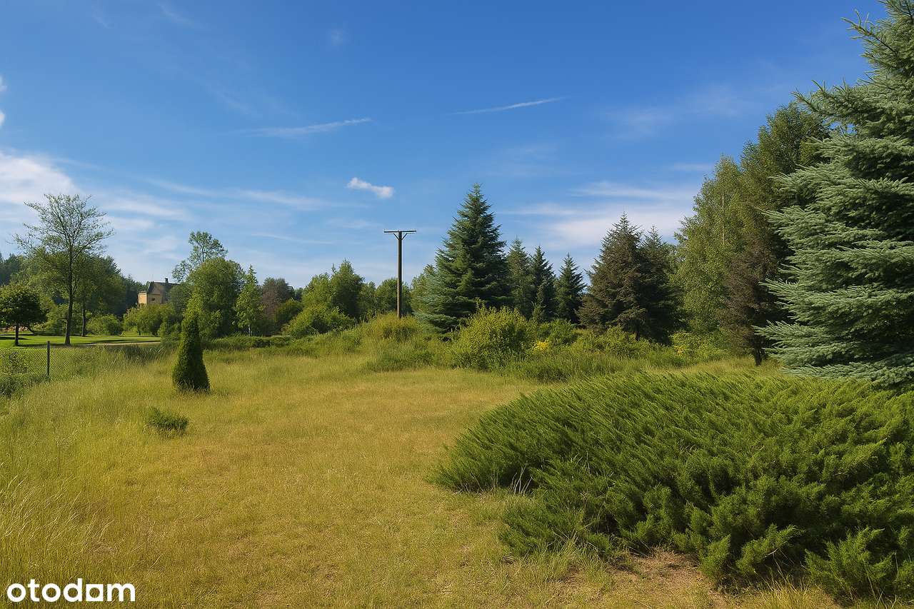Nowa cena! Leśna Przystań - działka wśród wysokich drzew. Mostki. - Pełny obrazek: 5/6