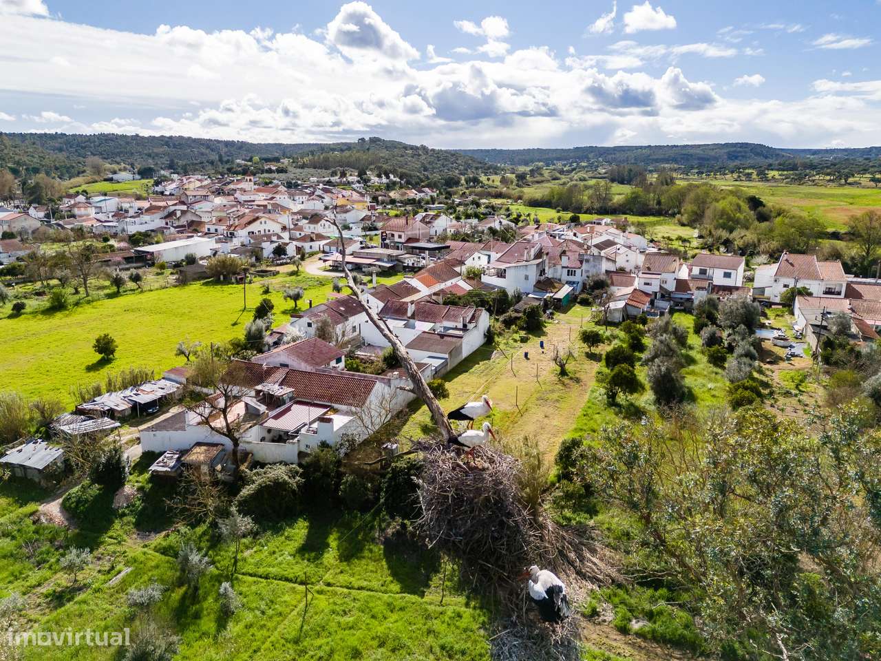 MORADIA T1 + ANEXOS E TERRENO | BEMPOSTA | ABRANTES-4