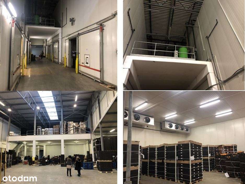 Zalesie przetwórnia owocowa hala magazyn SYNDYK przetarg OKAZJA-5