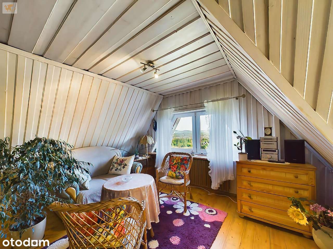 Widokowy dom pod inwestycję | 24 ary w top lokalizacji-11