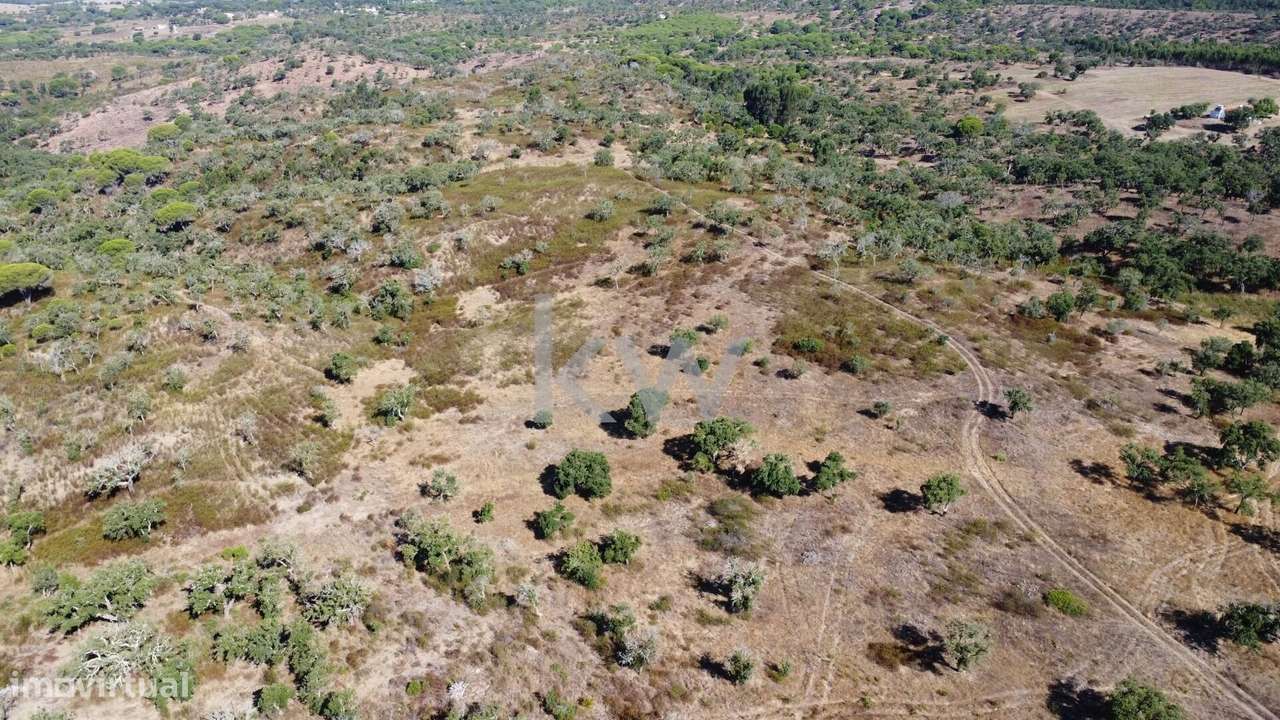 Terreno com 50 hectares, uma vista deslumbrante e inúmeras possibilida - Grande imagem: 5/15