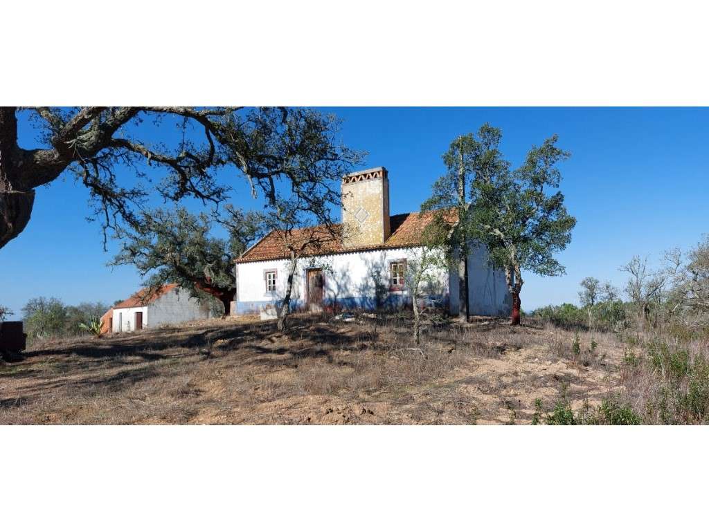 QUINTA, vista mar (5.575ha) - Grande imagem: 5/16