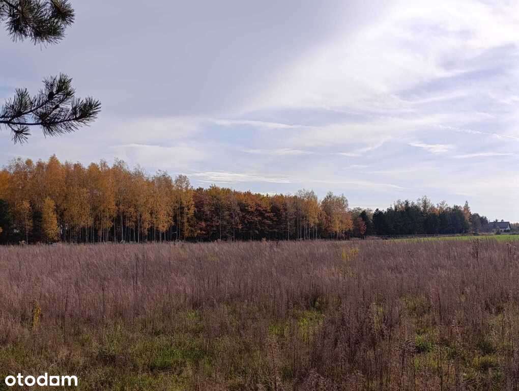 Działka budowlana w Dąbrówce Wyłazy, przy lesie-8