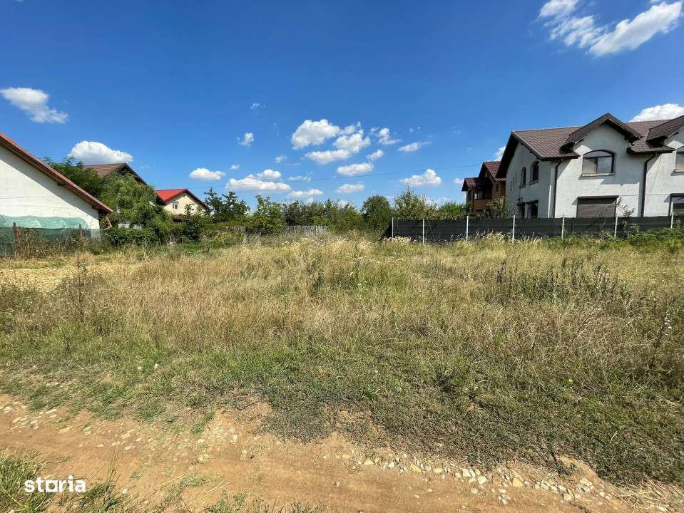 TEREN DE VANZARE DOMNESTI, 600 mp - Imagine principală: 3/6