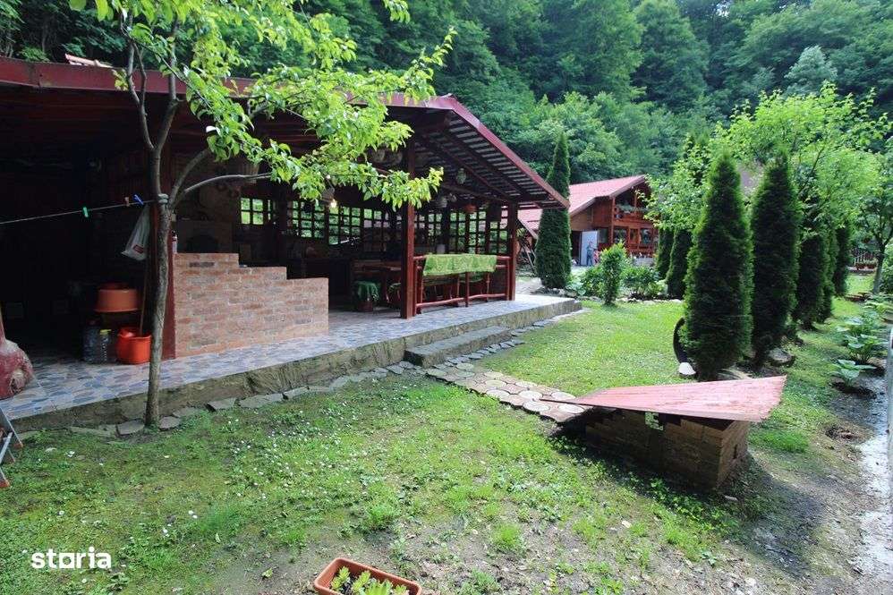 Vând gospodărie cu casă P+M în Govăjdia, la 16km de Hunedoara - Imagine principală: 4/20