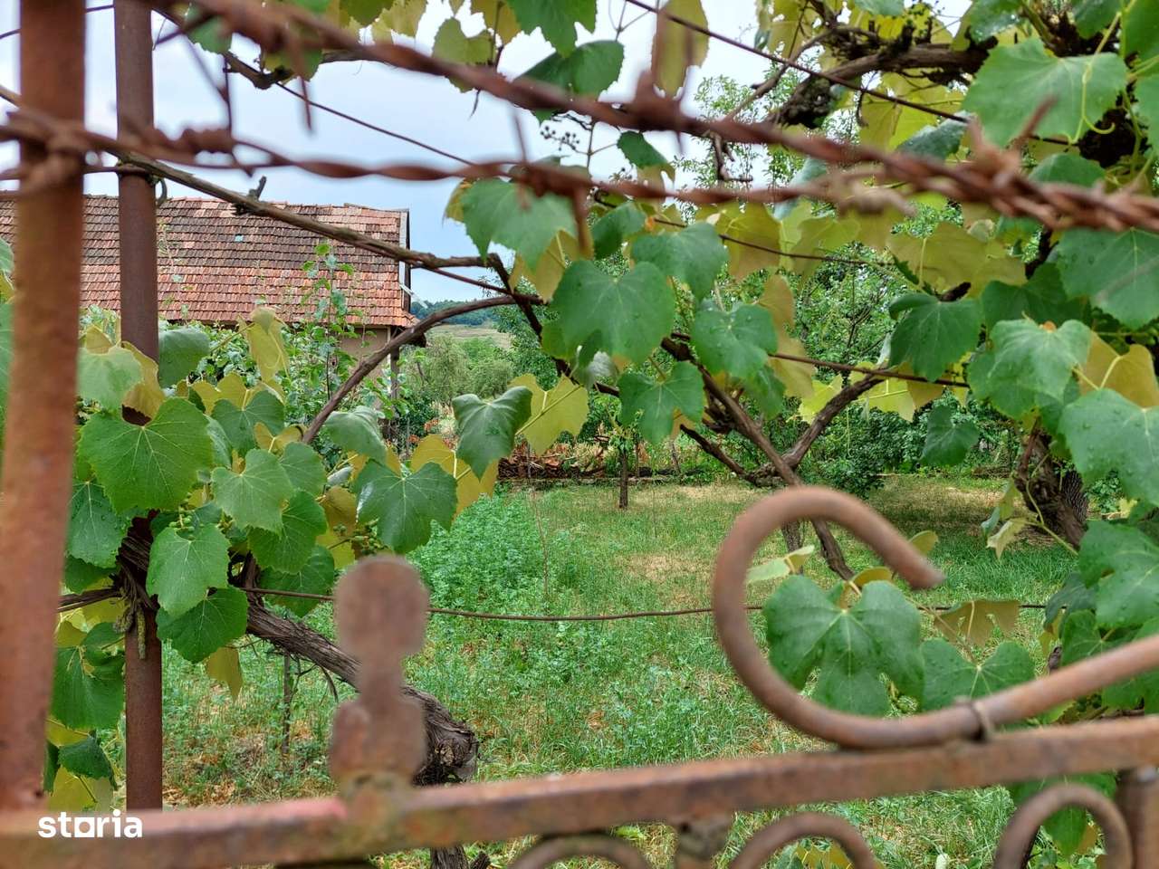 Vând Grădină de 2000 mp în Centrul Satului Cuzăplac la nr 249 - Imagine principală: 5/11