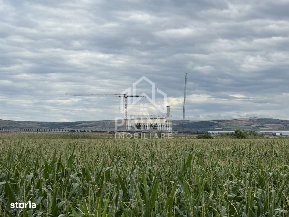 Teren agricol extravilan in zona DNCALB-A10 - Imagine principală: 4/8