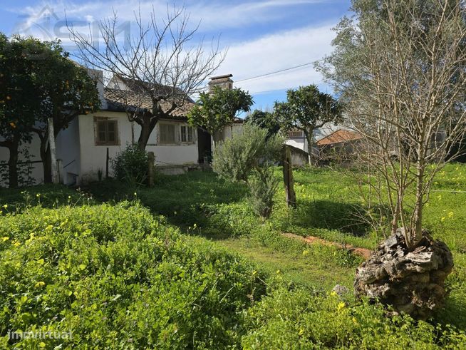 Vila Nova da Barquinha - Moradia T4 Duplex com quintal junto ao rio-2