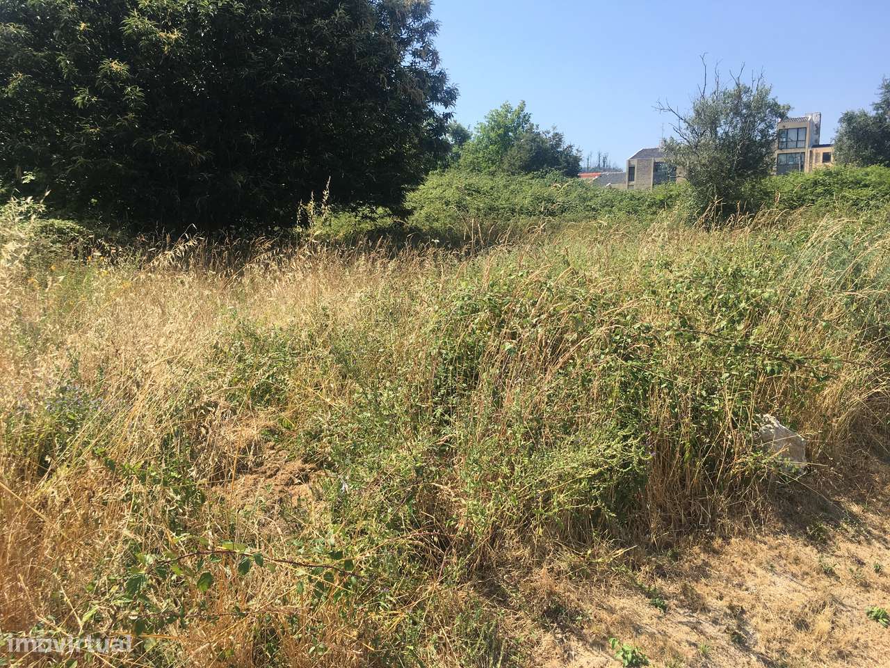 Agricultural land/Land em Viseu, São Pedro Do Sul REF:029 - Grande imagem: 4/10