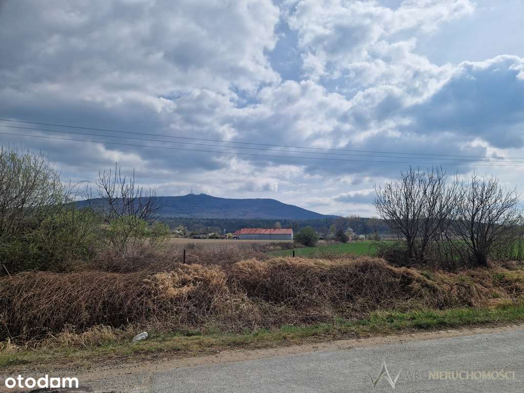 Budynek magazynowy do przebudowy - duża działka - Pełny obrazek: 4/4