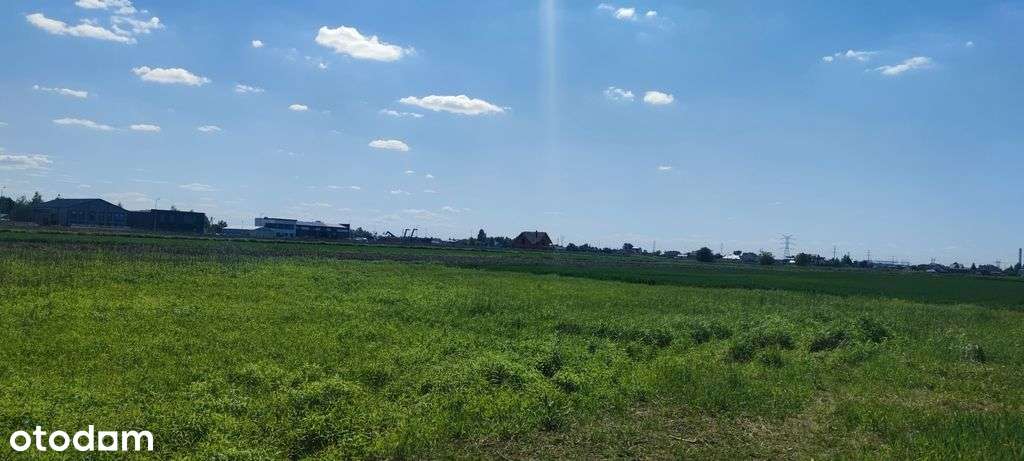 Borzęcin Duży działka budowlana blisko szkoły. - Pełny obrazek: 5/11