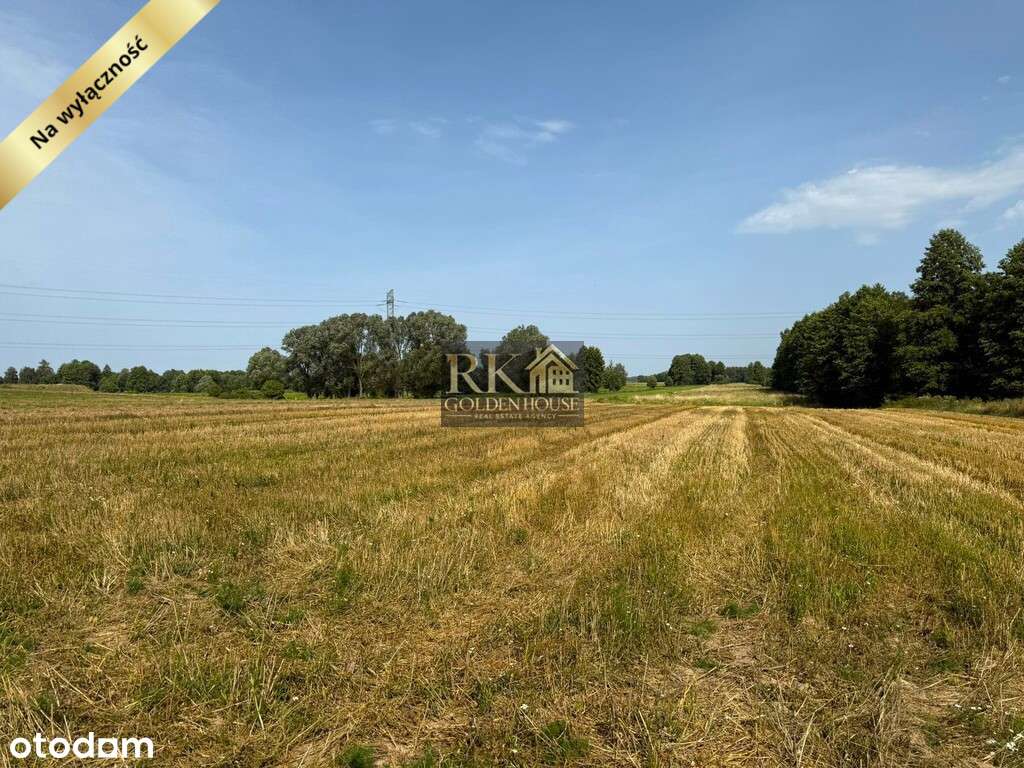 Duża działka rolna na sprzedaż z możliwością budowy domu-6