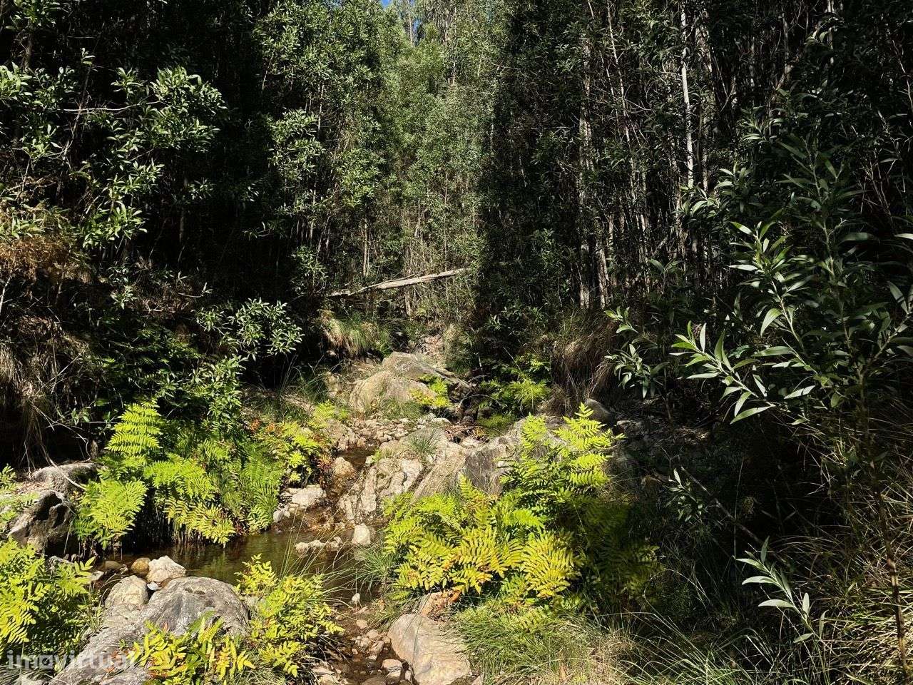 Terreno Localizado em Varziela - 75 000m2-9
