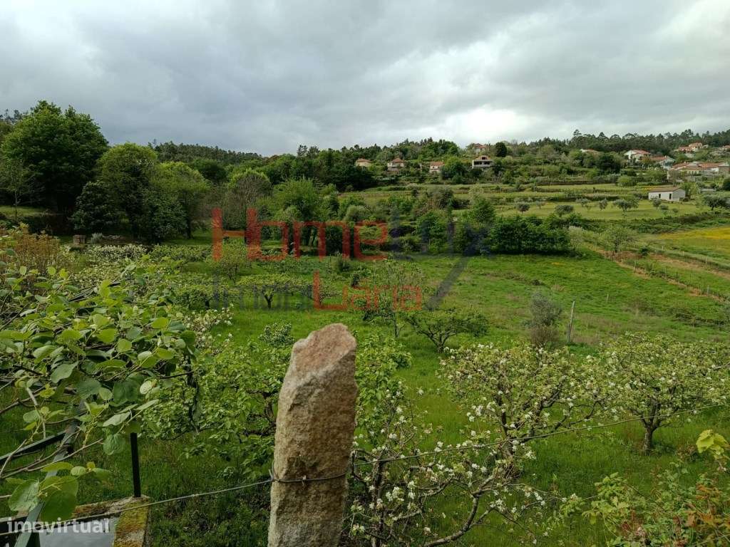 Quinta com Projeto para Turismo Rural em São Pedro do Sul-45