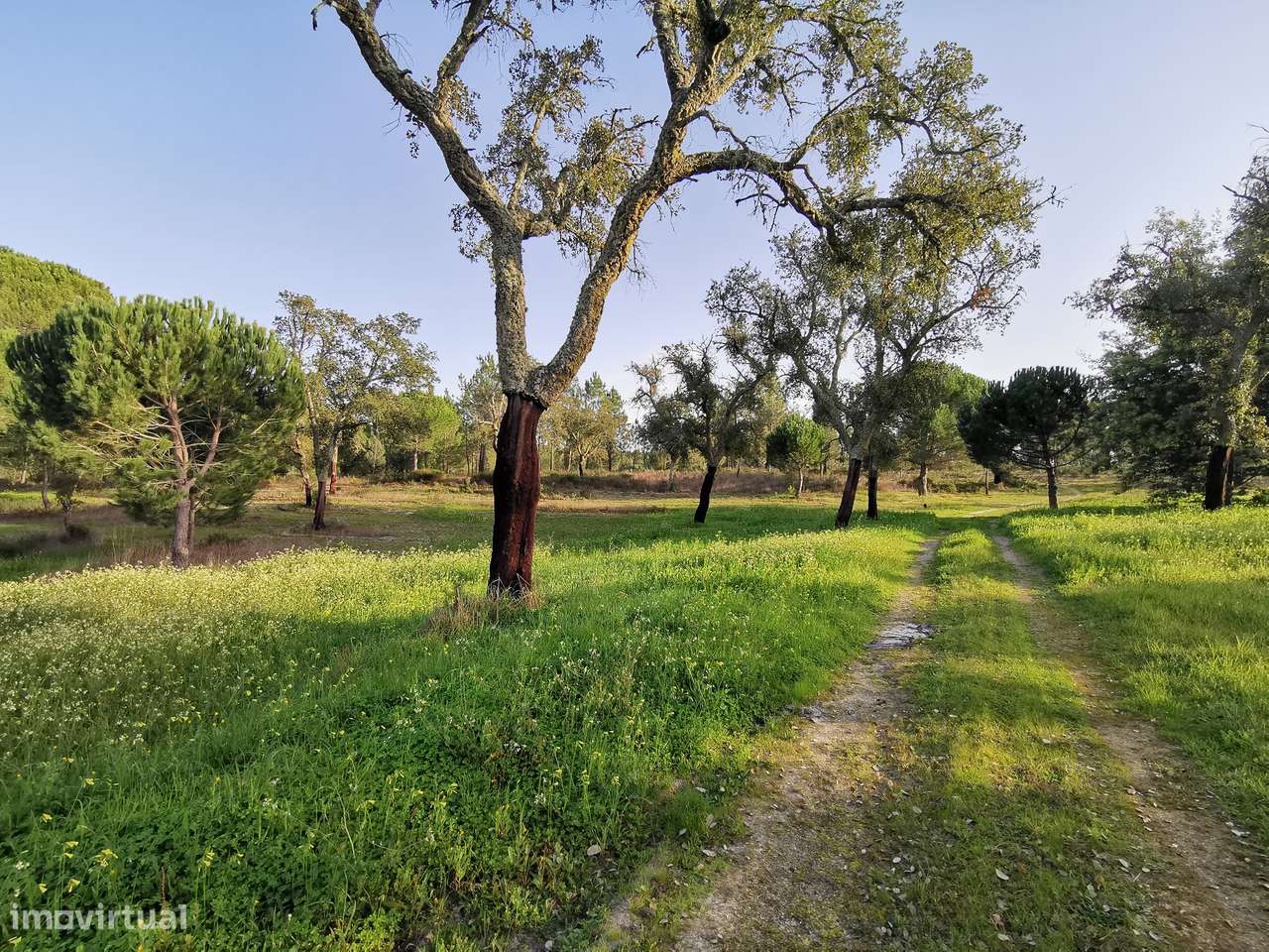 Moradia T2  Lamarosa de Coruche-43