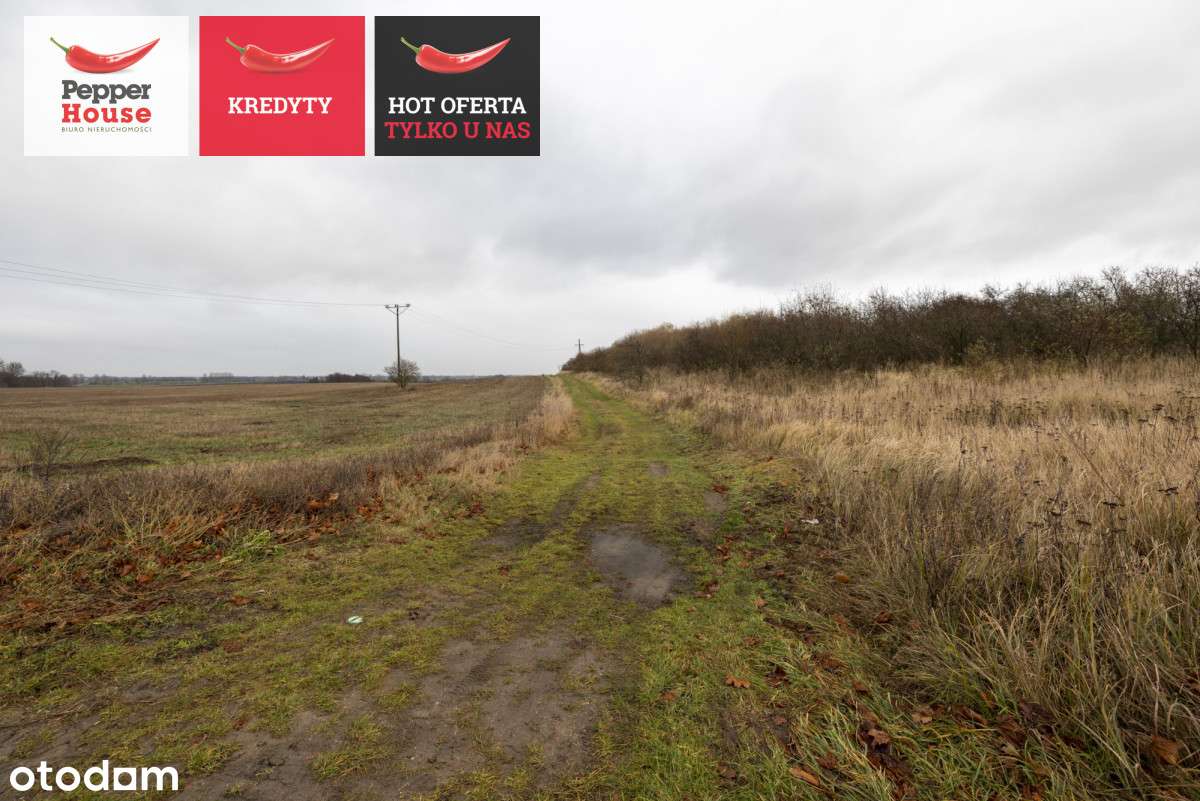 Działka przemysłowa - Pełny obrazek: 5/10