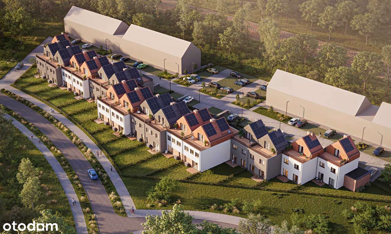 Vista Forest - Pełny obrazek: 4/7